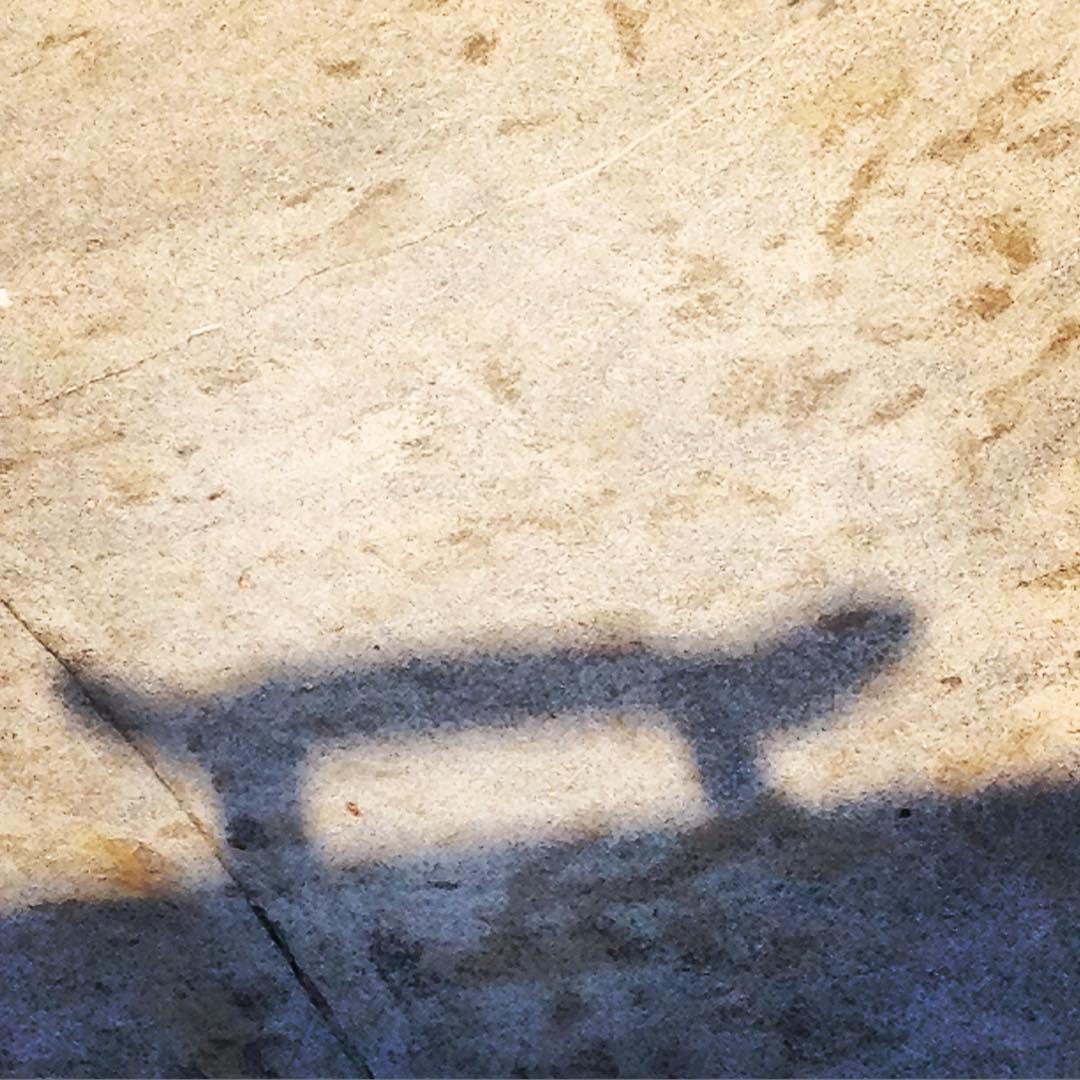 #sunnysunday at the Berg #bergfidel #monsterbowl #concrete #beton #pool #bowl #skateboarding #shadow #bailgun