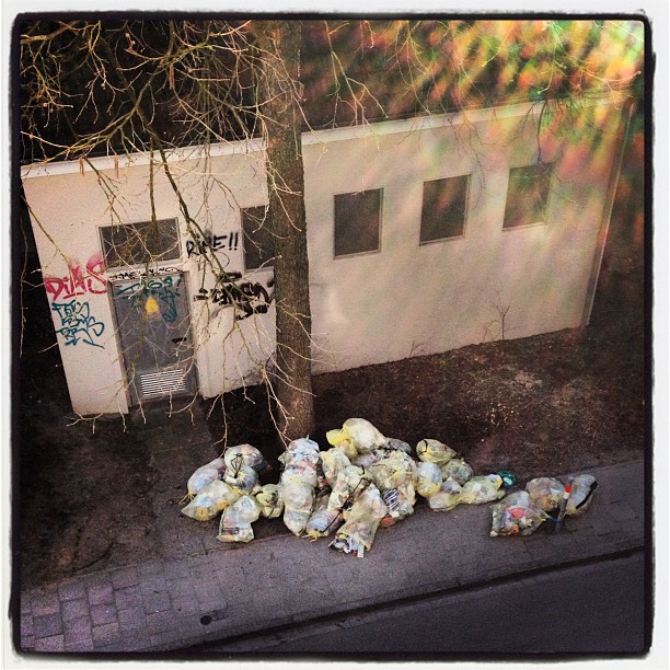 Yellow Bags