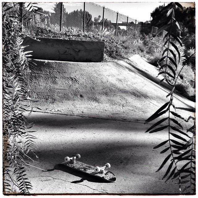 Ditch #Bailgun