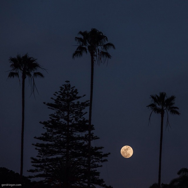 After sunset time to turn around and have quick look at the #Moon. #Swamis #Bailgun